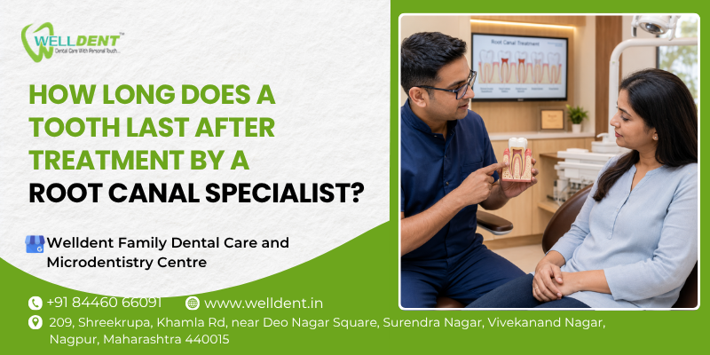 How long does a tooth last after treatment by a root canal specialist?